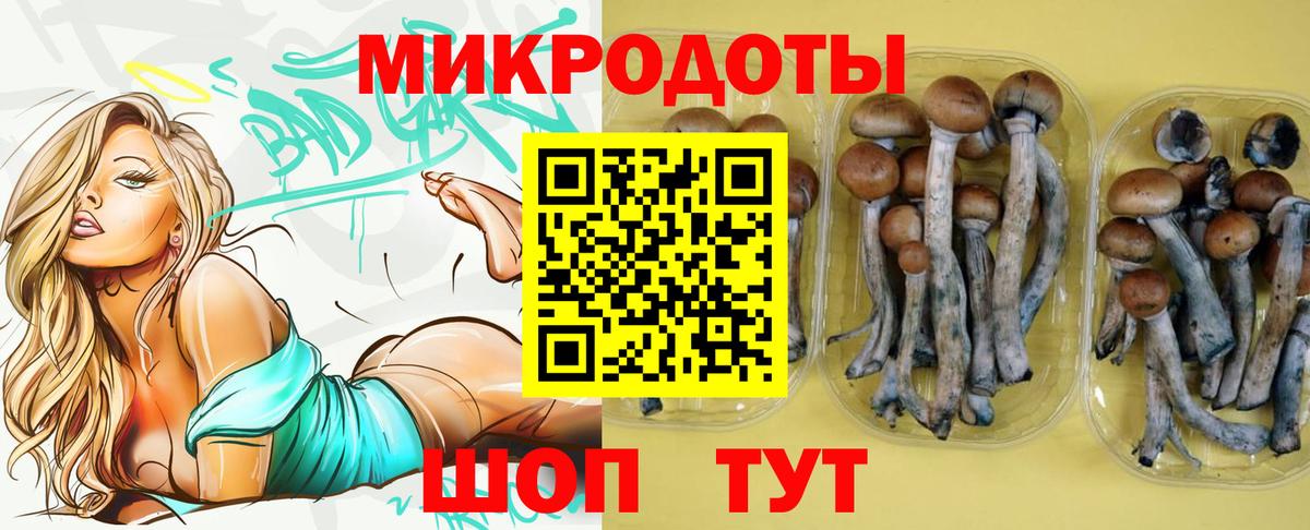 Галлюциногенные грибы мухоморы  Псилоцибиновые грибы GOLDEN TEACHER  Горячий Ключ  Вход с VPN 